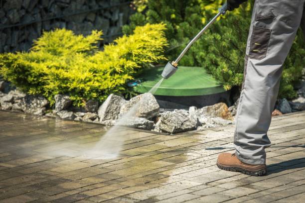 Best Factory Floor Cleaning  in Dewitt, AR