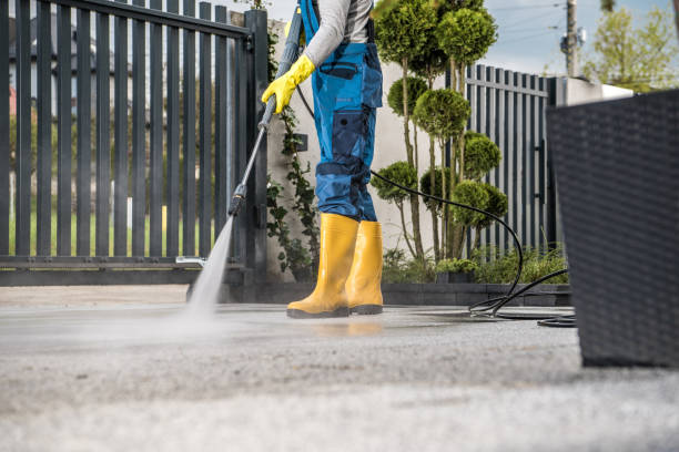 Best Gutter Cleaning  in Dewitt, AR